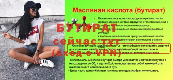 стаф Каменка