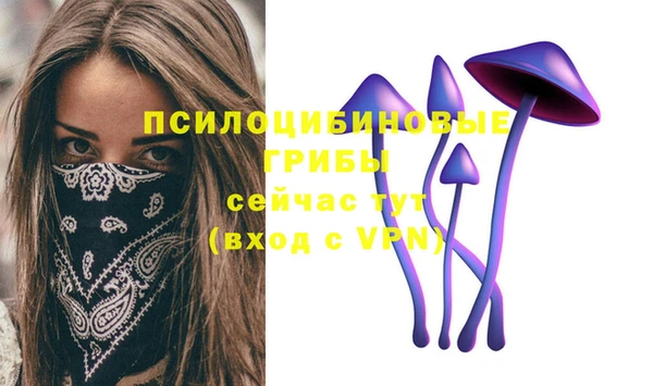 твердый Елабуга