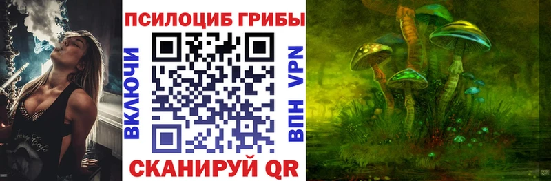Галлюциногенные грибы GOLDEN TEACHER  где можно купить наркотик  Новый Оскол 